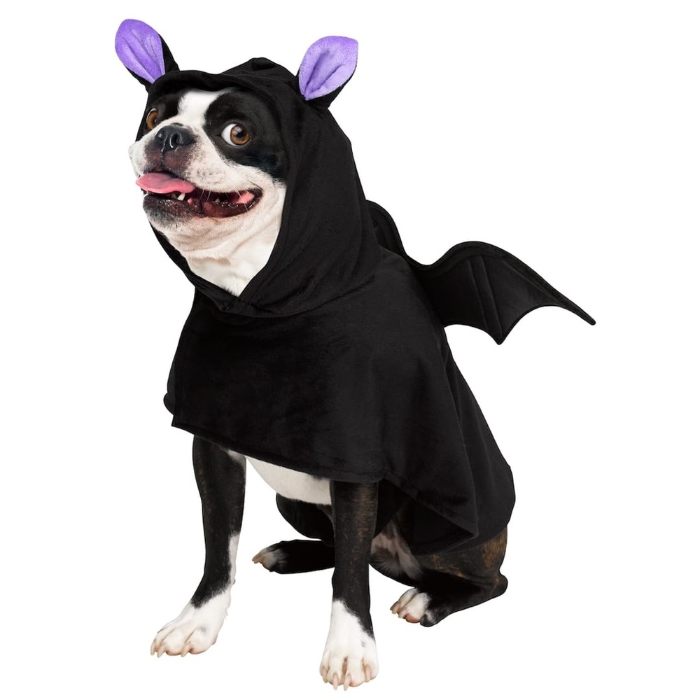Ashland Michael’s Halloween Black Purple Bat Dog Costume